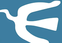 Minnesota bajo fuego: la fractura política de una nación