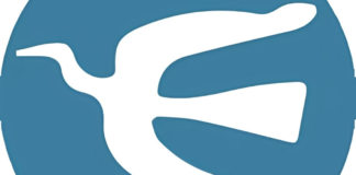 Minnesota bajo fuego: la fractura política de una nación