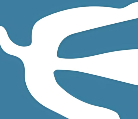 Minnesota bajo fuego: la fractura política de una nación