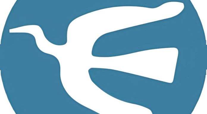 Minnesota bajo fuego: la fractura política de una nación